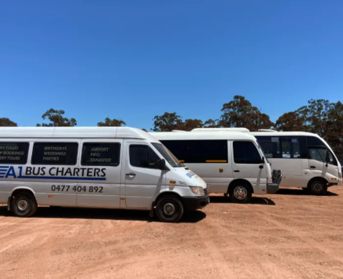 9, 15, 21, and 36 seat vehicles for bus charters