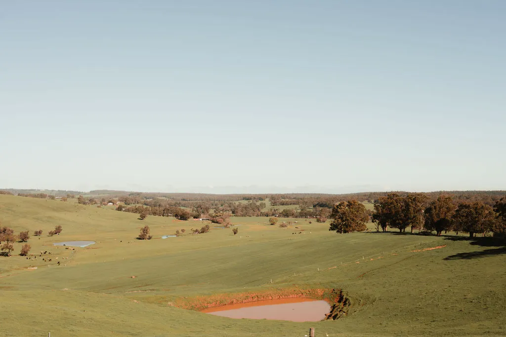 Ferguson Valley Landscape image of grass and trees and a blue sky